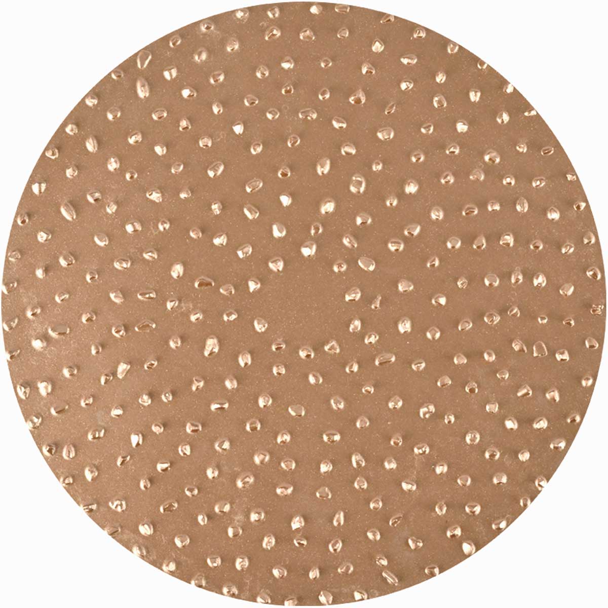 16 Grit Tungsten Carbide Sanding Disc (2) - TapeTech Tool Company